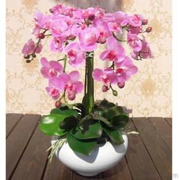 假花批發供應與價格指南 源頭采購與機械設備應用